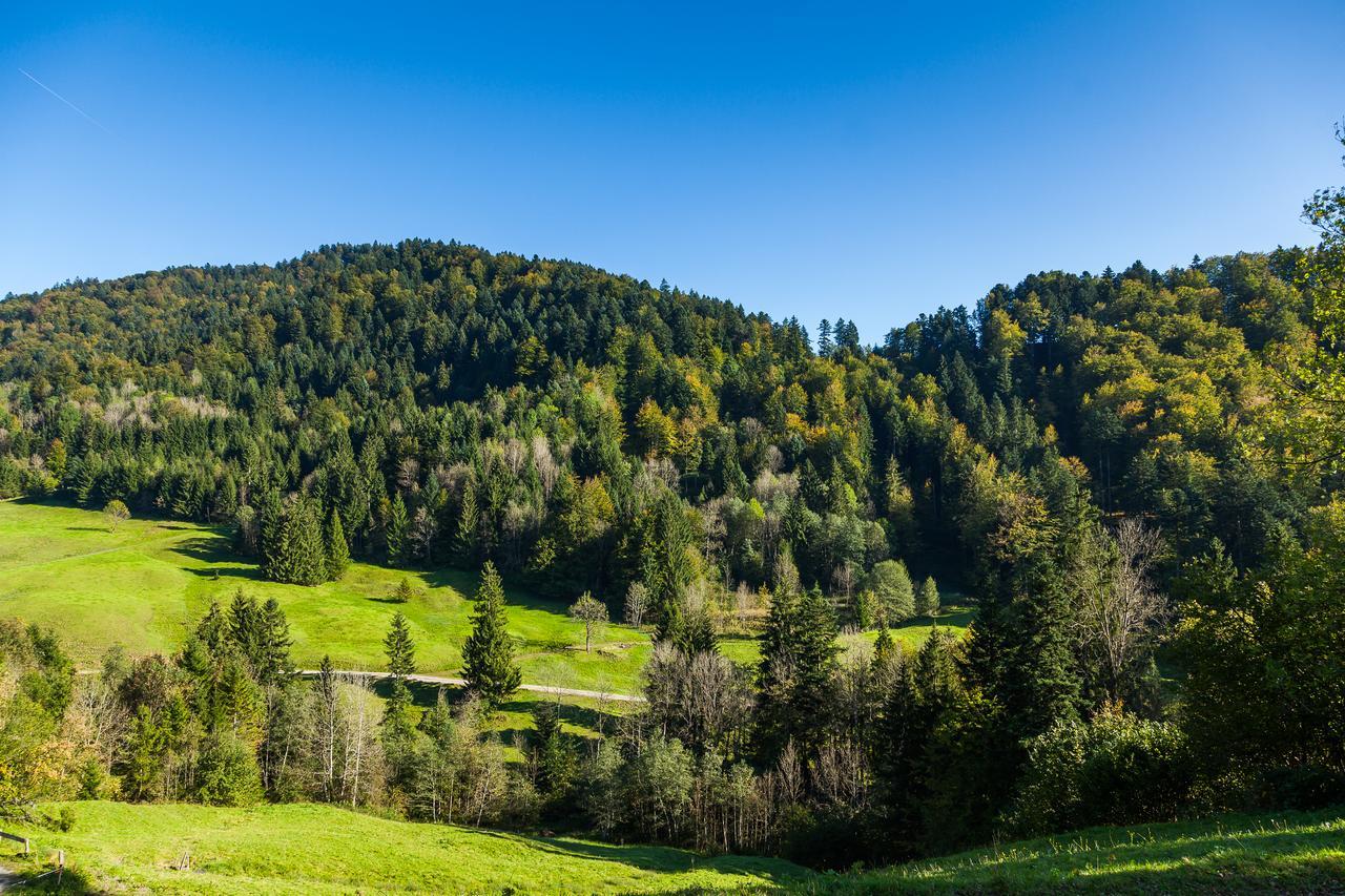 Hotel Bad Rain Mit Oberstaufen Plusgolf Εξωτερικό φωτογραφία